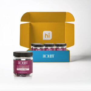 holiby longevity gummies blueberry 60pg